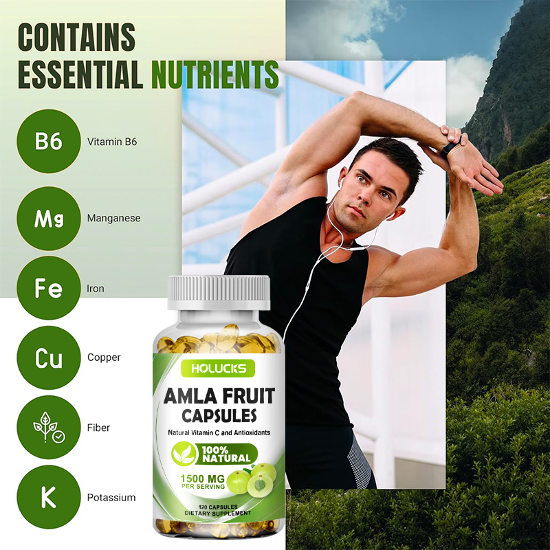 HOLUCKS Amla Fruit Extract Cap - Health Wellness Energy review and price