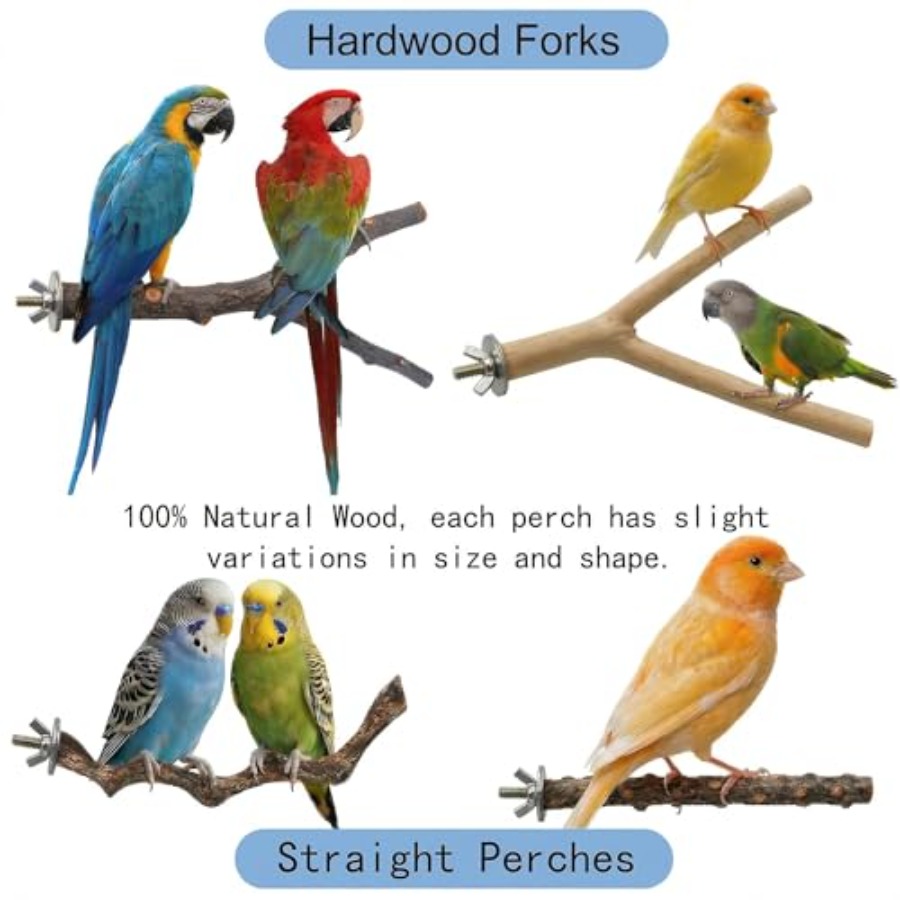 8PCS natural wood bird perches - Health & Wellness Fee review and price