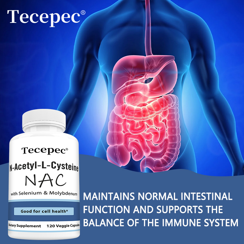 NAC Capsules – Antioxidant, Su - Health Wellness Day review and price